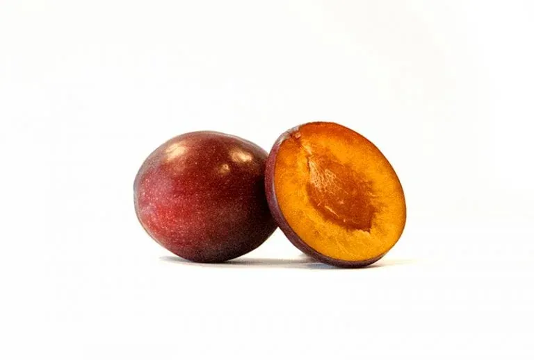 Plum Kernel Oil and Skin