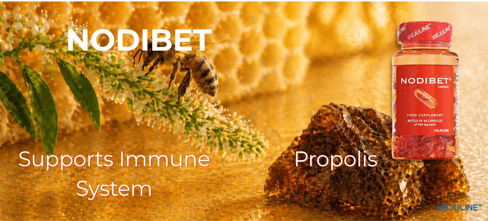 Nodibet slide 2